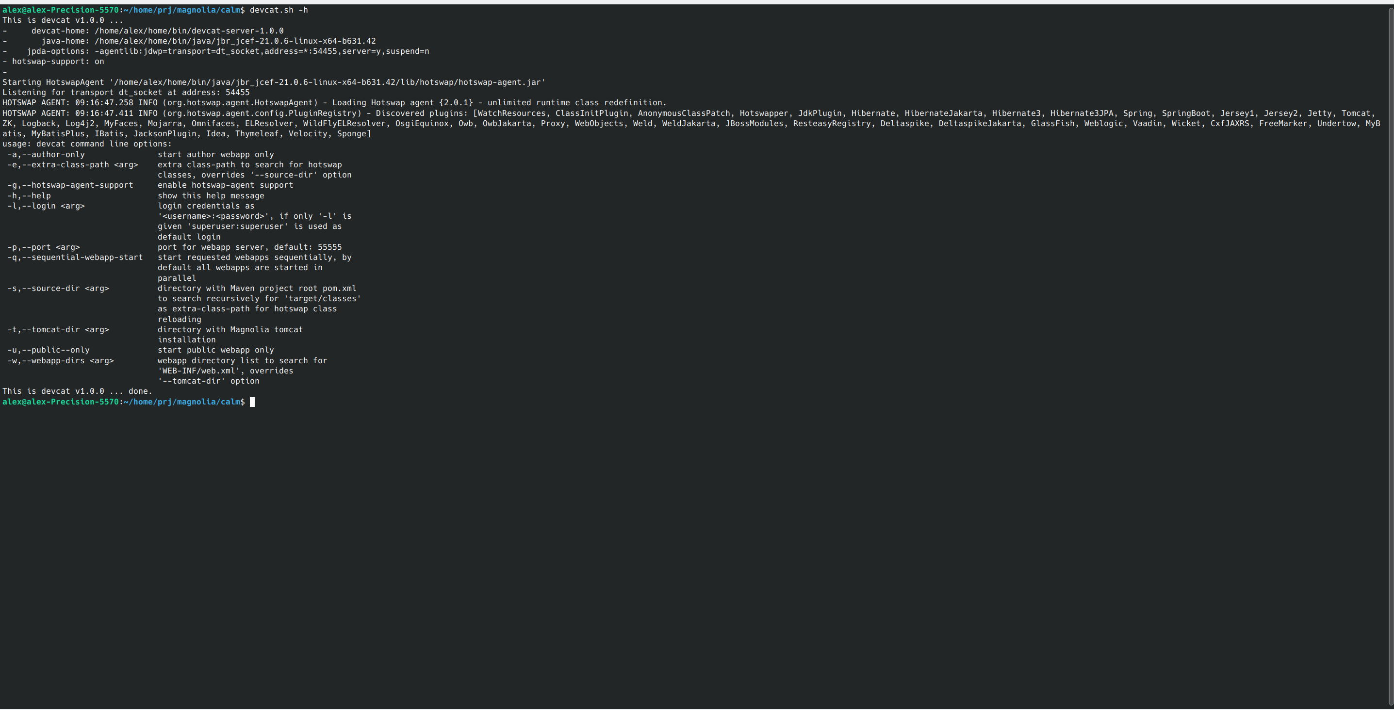 02-devcat-server-help-output - alex